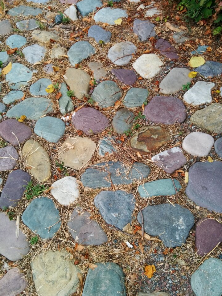 Rocks footpath nature