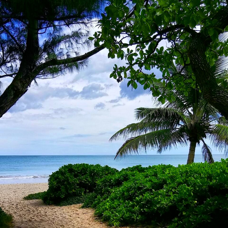 Tropical travel nature