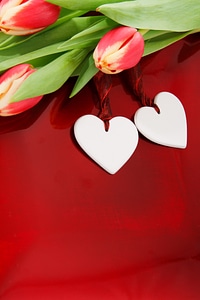 Celebration valentine day