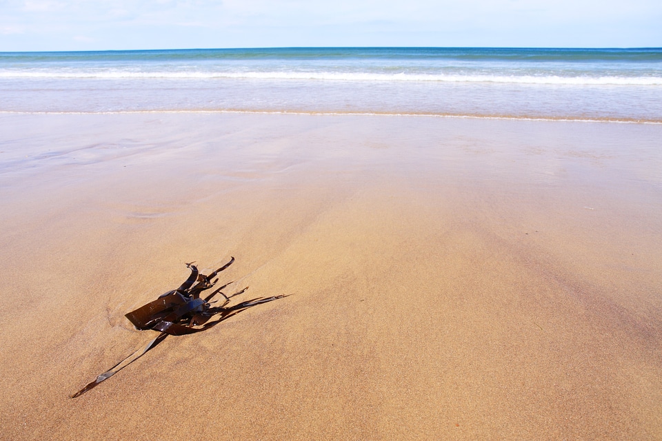 Coastline holiday landscape