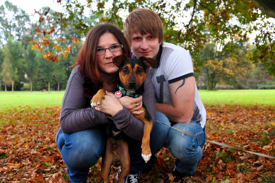 Dog family nature