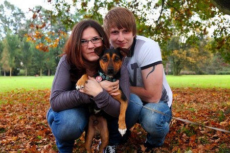 Dog family nature