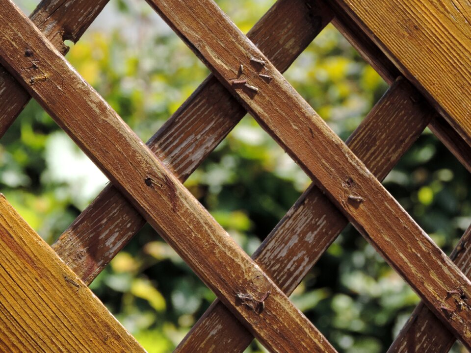 Wood fence paling summer