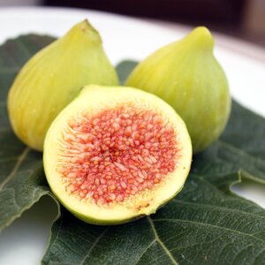 Leaf mediterranean foods