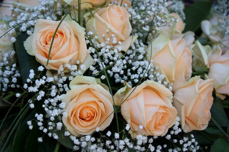 Bouquet wedding plant