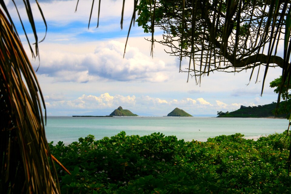 Tropical travel nature