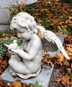 Figure old cemetery angel figure