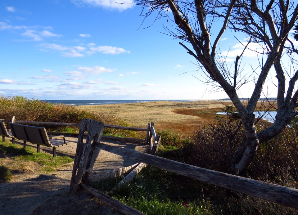 National seashore landscape coastline