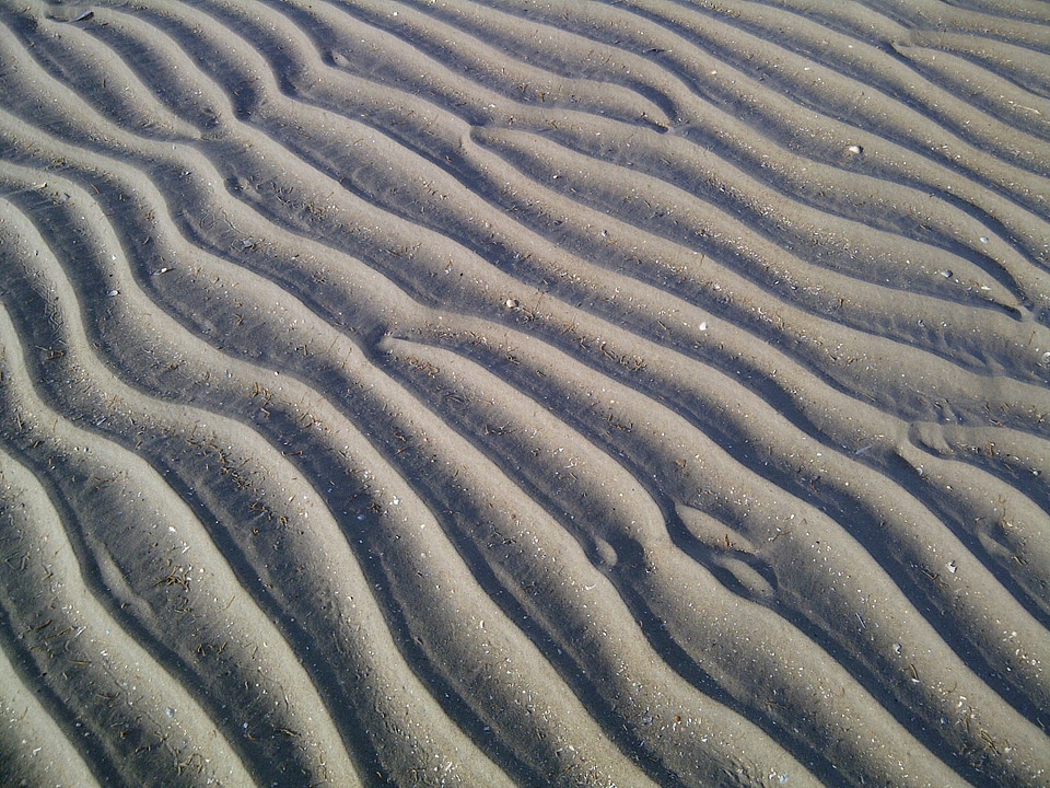 Sandbar watts wadden sea