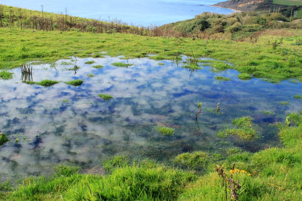 Coast nature pool