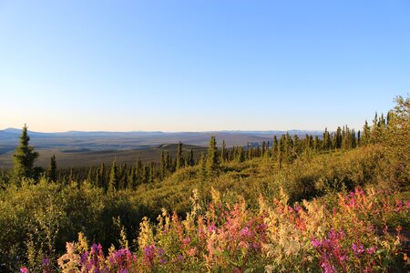 Yukon canada sunset
