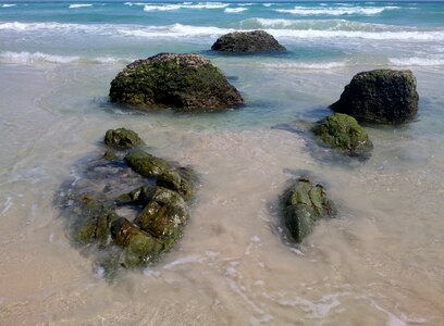 Ocean moss coast