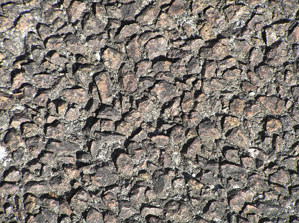 Background footpath sidewalk