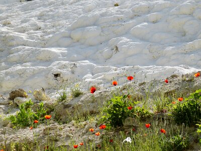 Limestone mineral white