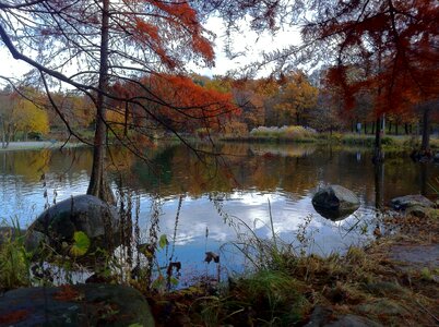 Water waters mirroring