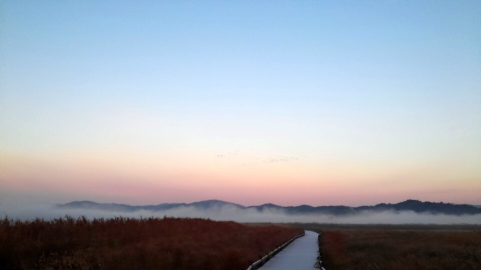 Suncheon bay dawn fog