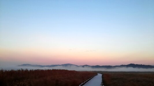 Suncheon bay dawn fog