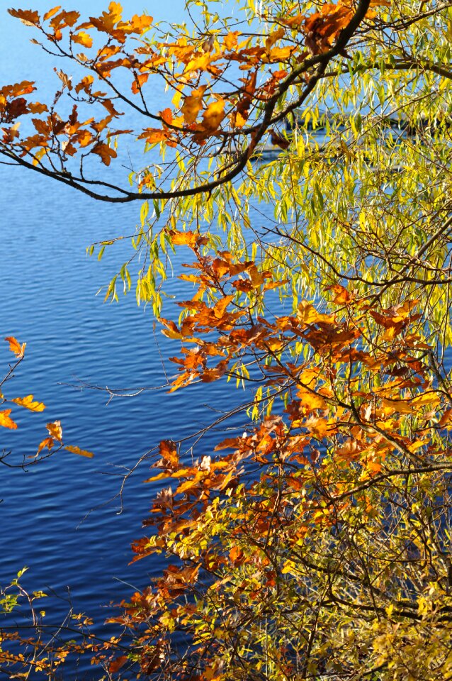 Autumn water lake photo