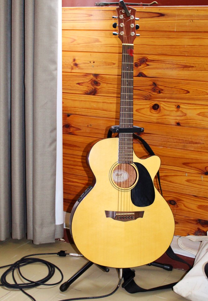 Strings play guitar concert