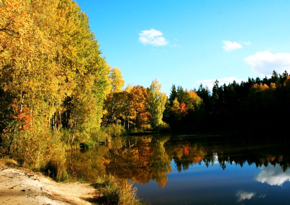 Reflection surface nature