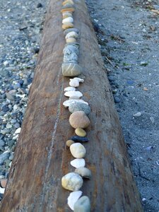 Beach nature landscape
