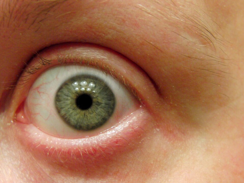 Blue vision eyelash