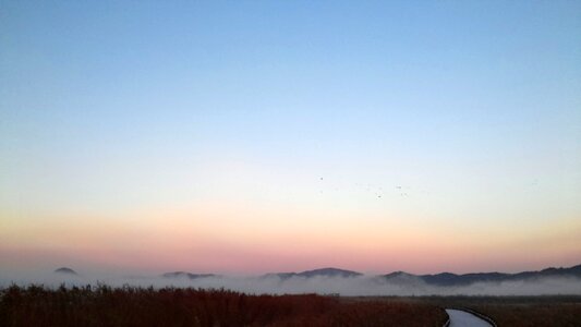 Suncheon bay dawn fog