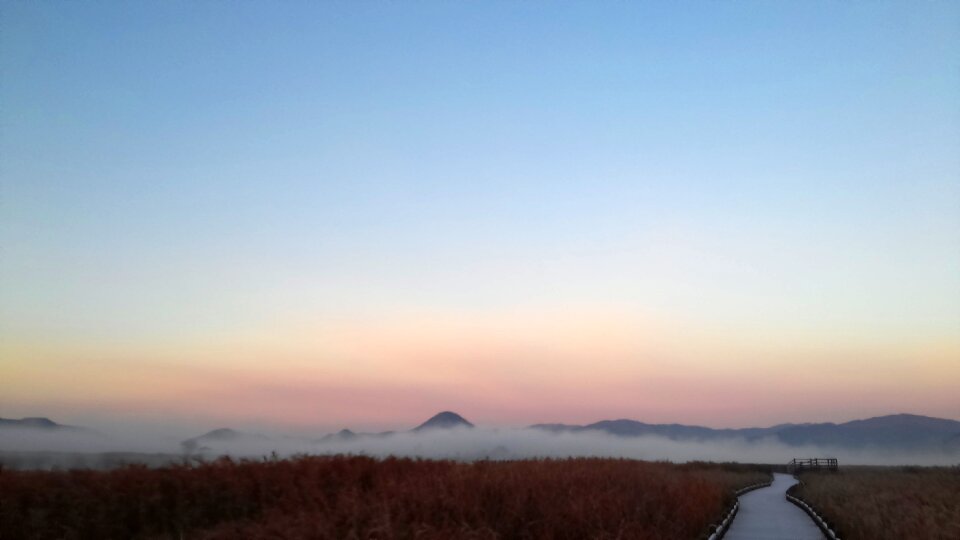 Suncheon bay dawn fog