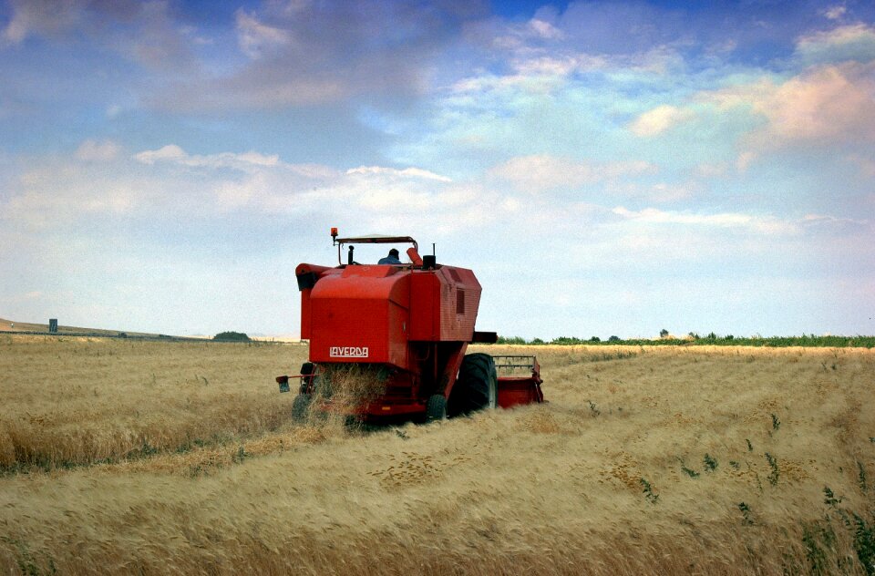 Wheat work threshing