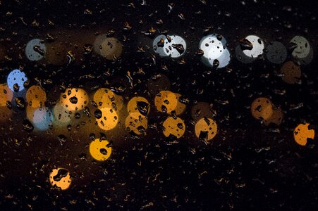 Glass window autumn