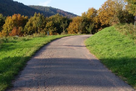 Cycle path autumn trees