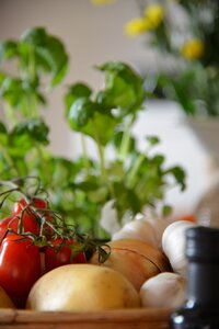 Tomatoes potatoes onions photo