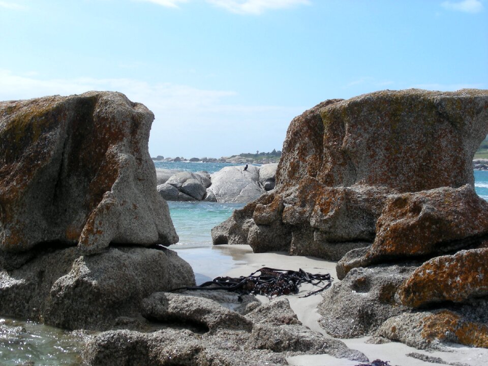 Vacations africa cape town