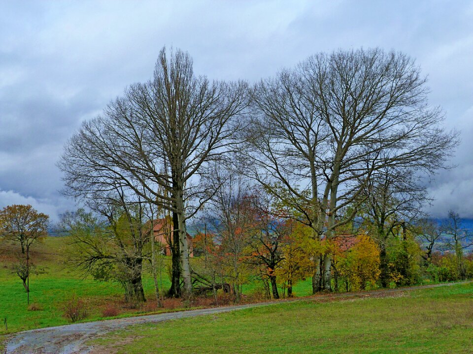 Nature fall field