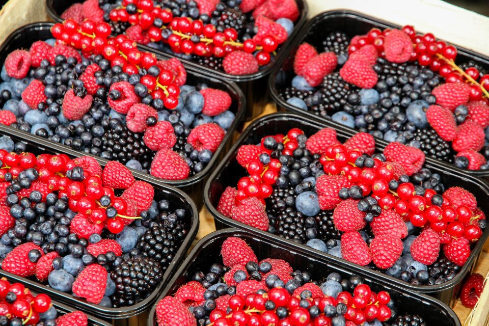 Red vitamins blackberries