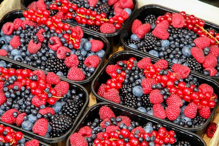 Red vitamins blackberries photo