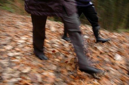 Walk autumn leaves photo