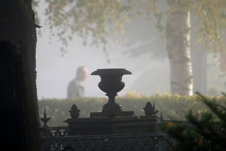 Cemetery light atmosphere