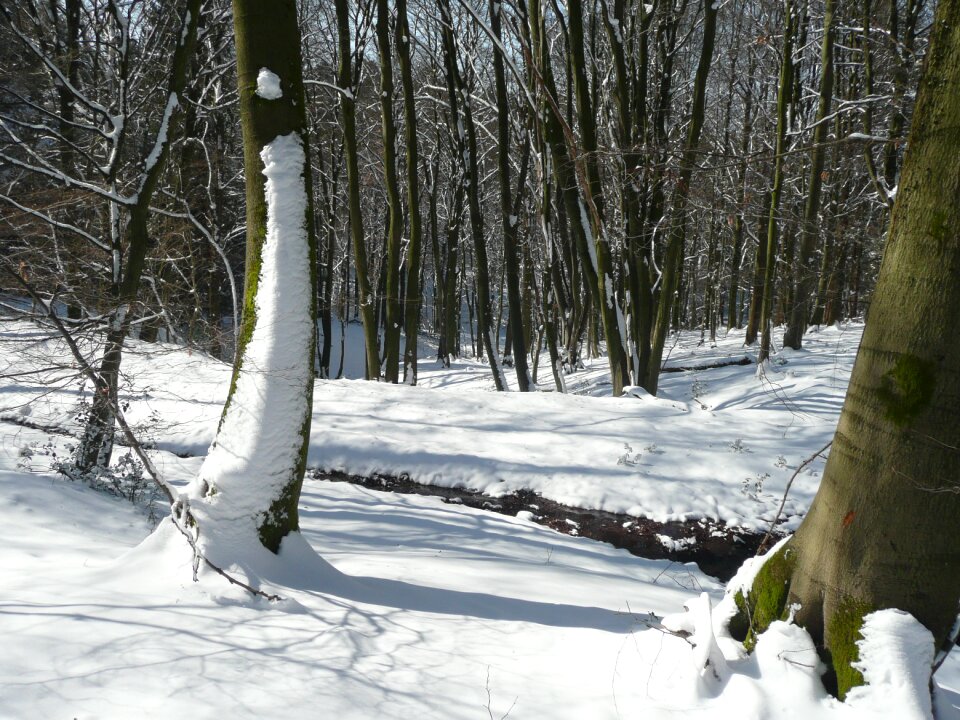 Season nature seasonal