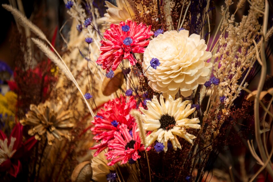 Decoration photograph flowers ·