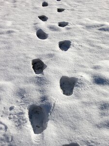 Winter tracks foot tracks photo