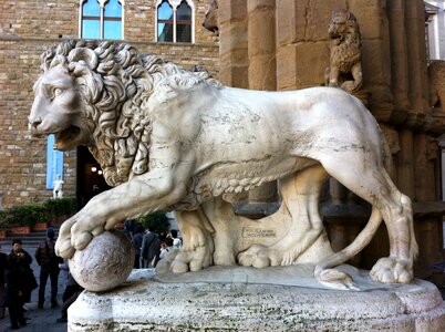 Lion florence place