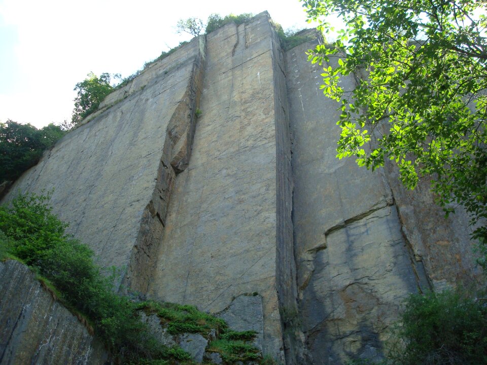 Landscape forest rock wall