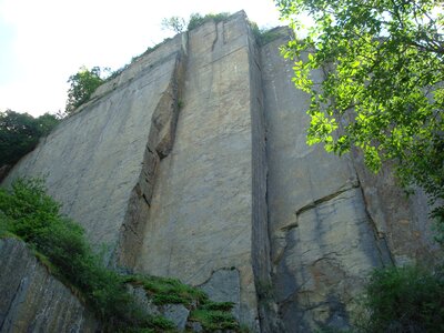 Landscape forest rock wall