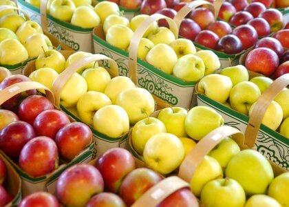 Yellow apple fruit