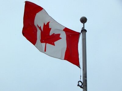 Canada flag maple leaf photo