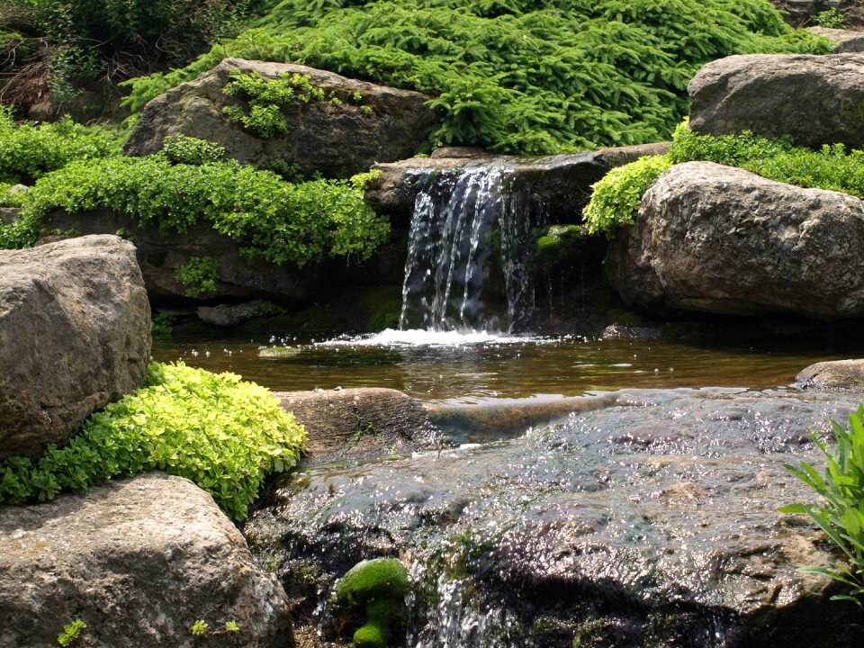 Nature green rock