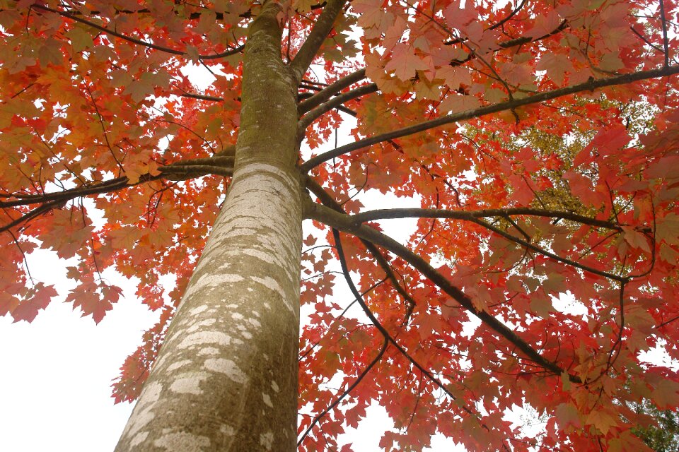 Park fall