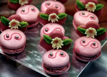 Candy gastrofest pink
