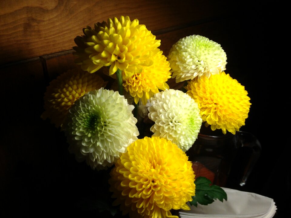Kkotsong blossom yellow flowers